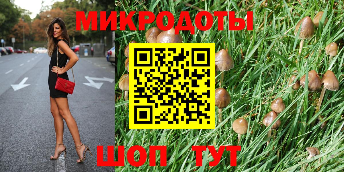Протвино  Псилоцибиновые грибы Magic Shrooms  где найти   Вход с VPN 