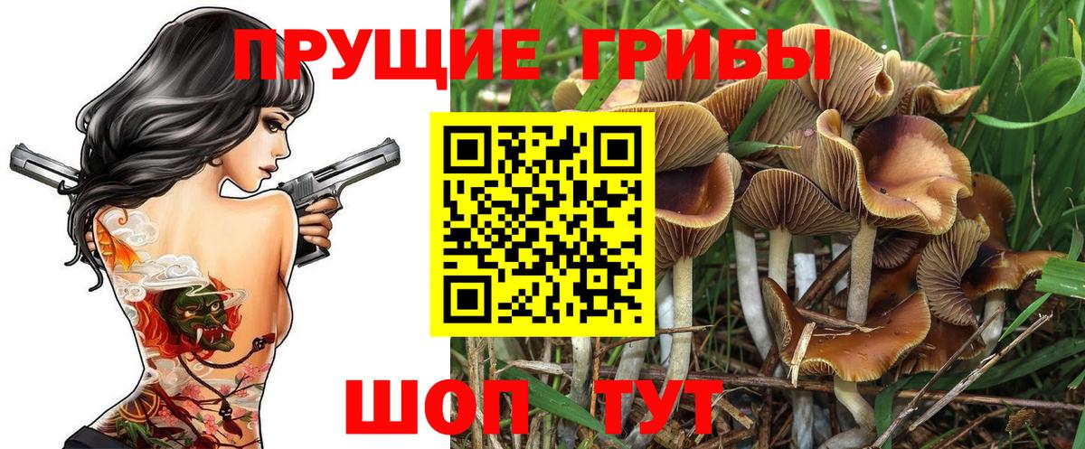Псилоцибиновые грибы GOLDEN TEACHER Протвино